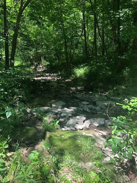 1915 Mount Zion Rd, Frankfort, KY 40601